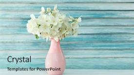  Presentation with jasmine - Amazing slides having fresh jasmine flowers backdrop and a light blue colored foreground