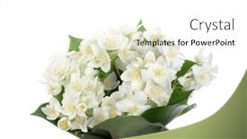 Presentation with jasmine flower - 