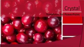  Presentation with mango juice fresh tropical fruit - Presentation design enhanced with fresh juicy cranberries colour palette background and a crimson colored foreground