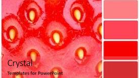  Presentation with fresh coconut juice decorated tropical - Theme consisting of fresh juicy strawberry colour palette background and a  colored foreground