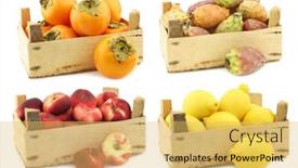  Presentation with lemons - Presentation design consisting of fresh-kaki-fruit-colorful-cactus background and a yellow colored foreground