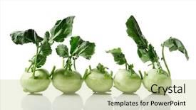  Presentation with background - PPT theme having fresh kohlrabi with leafy stems background and a mint green colored foreground