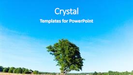  Presentation with springtime - Colorful slide set enhanced with fresh landscape vibrant springtime backdrop and a light gray colored foreground