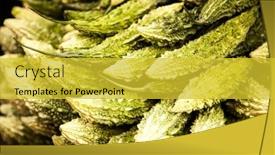  Presentation with bitter melon - Colorful slide deck enhanced with fresh-large-green-organic-bitter backdrop and a yellow colored foreground