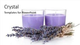 Presentation with white candles - Amazing PPT theme having fresh lavender isolated on white backdrop and a white colored foreground