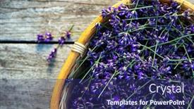  Presentation with lavender - Amazing presentation design having fresh-lavender-over-wooden-summer backdrop and a navy blue colored foreground