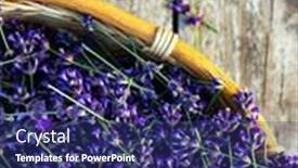  Presentation with lavender - PPT layouts with fresh-lavender-over-wooden-summer background and a navy blue colored foreground