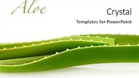  Presentation with aloe vera - Amazing PPT layouts having fresh leaf aloe isolated backdrop and a white colored foreground