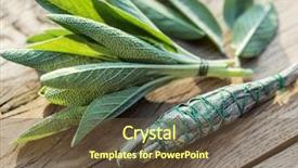  Presentation with sage - Beautiful PPT theme featuring fresh leaves of garden sage backdrop and a tawny brown colored foreground