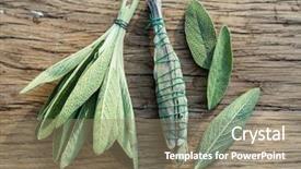  Presentation with sage - Beautiful theme featuring fresh leaves of garden sage backdrop and a coral colored foreground