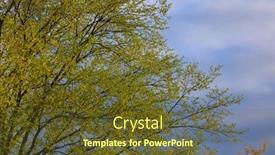  Presentation with spring tree - Slide set with fresh leaves on tree during spring time background and a tawny brown colored foreground