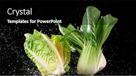  Presentation with lettuce - Presentation theme enhanced with fresh-lettuce-falling-on-black background and a black colored foreground
