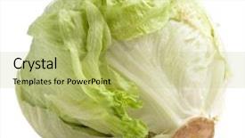  Presentation with lettuce - PPT theme with fresh lettuce isolated background and a yellow colored foreground