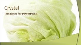  Presentation with lettuce - Theme having vegetarian close up green - fresh lettuce isolated background and a cream colored foreground