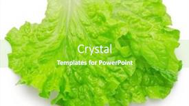  Presentation with lettuce - Presentation with fresh-lettuce-leaf-on-white background and a  colored foreground