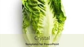  Presentation with lettuce - Cool new theme with fresh lettuce on white background backdrop and a yellow colored foreground