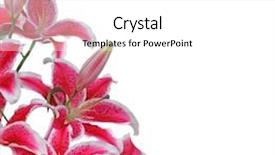  Presentation with border flower - Beautiful slide deck featuring isolated on white - flower border backdrop and a white colored foreground