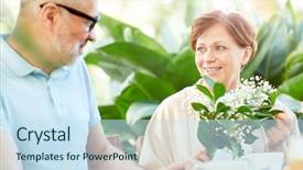  Presentation with lily of the valley close - Beautiful presentation theme featuring fresh lilies-of-the-valley backdrop and a  colored foreground