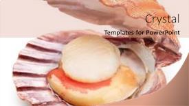  Presentation with live - Theme consisting of fresh-live-opened-scallop background and a coral colored foreground