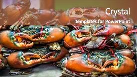  Presentation with fresh start for children - Audience pleasing presentation theme consisting of fresh lobster shrimp fresh seafood backdrop and a red colored foreground