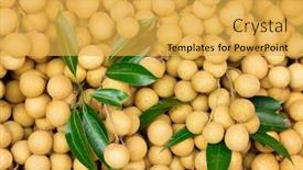  Presentation with thailand - PPT theme having fresh-longan-fruits-in-market background and a yellow colored foreground