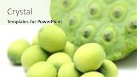  Presentation with lotus - Slide set featuring fresh lotus seeds and pod background and a soft green colored foreground