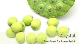  Presentation with lotus - Beautiful PPT theme featuring fresh lotus seeds and pod backdrop and a blonde colored foreground