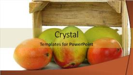  Presentation with mango fruit - Audience pleasing PPT theme consisting of fresh mango fruit backdrop and a gold colored foreground