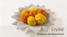  Presentation with lotus - Slide set consisting of fresh-marigold-flowers-kept background and a soft green colored foreground