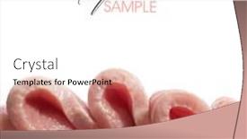  Presentation with fresh meat - Theme enhanced with fresh meat background and a white colored foreground