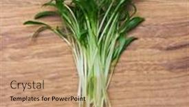  Presentation with fresh fruits and leafty greens - PPT theme having fresh-micro-greens-on-wooden background and a coral colored foreground