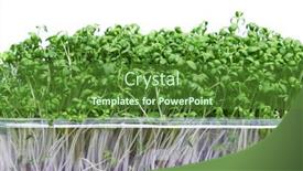  Presentation with plastic - Slide deck consisting of fresh-micro-greens background and a tawny brown colored foreground