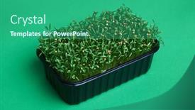  Presentation with plastic - Slide deck featuring fresh-micro-greens background and a ocean colored foreground