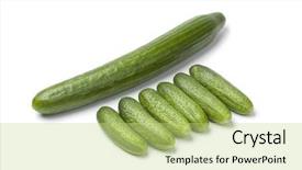  Presentation with cucumbers - Presentation theme having fresh mini cucumbers compared with a large one isolated on white background background and a mint green colored foreground