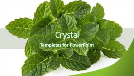 Presentation with lemongrass herb plant fresh leaves - Cool new presentation theme with fresh mint herb leaves isolated backdrop and a tawny brown colored foreground
