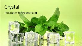  Presentation with green leaf - Slide set enhanced with fresh mint leaf and ice background and a blonde colored foreground