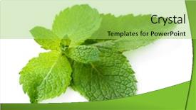  Presentation with mint - Cool new theme with fresh-mint-leaves-isolated backdrop and a yellow colored foreground