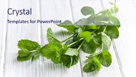  Presentation with mint - Slides enhanced with green bicycle with yellow flower in the basket on lawn yard note soft focus at 100 best at smaller sizes background and a violet colored foreground