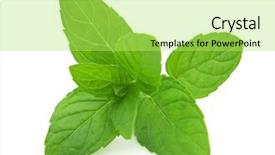  Presentation with mint - Colorful theme enhanced with blurred colorful background - beautiful texture - beautiful bokeh backdrop and a coral colored foreground