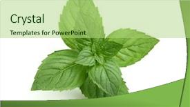  Presentation with mint - PPT theme consisting of mother with a stressed expression on her face holding her baby who is sad and is in her santa costume background and a tawny brown colored foreground