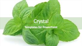  Presentation with mint - Colorful PPT layouts enhanced with fresh mint backdrop and a shamrock green colored foreground