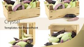  Presentation with wooden - Beautiful presentation design featuring fresh-mixed-aubergines-cucurbita-pepo backdrop and a lemonade colored foreground