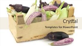  Presentation with cut - Colorful slide deck enhanced with fresh mixed aubergines cucurbita pepo backdrop and a lemonade colored foreground