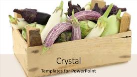  Presentation with wooden - Theme having fresh mixed aubergines cucurbita pepo background and a  colored foreground