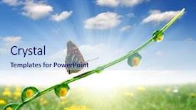  Presentation with dew - Colorful slides enhanced with fresh morning dew and butterfly backdrop and a light blue colored foreground
