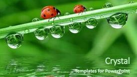  Presentation with dew - Theme enhanced with men exercise hydration - athletic sport man drinking water background and a ocean colored foreground