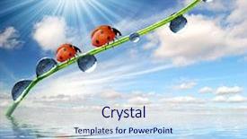  Presentation with fresh start for children - Presentation theme consisting of fresh morning dew and ladybird background and a sky blue colored foreground