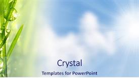  Presentation with dew - Cool new presentation with fresh morning dew backdrop and a sky blue colored foreground