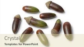  Presentation with oak - Slide deck enhanced with fresh moroccan oak nuts isolated on white background background and a soft green colored foreground