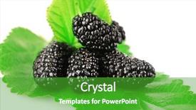  Presentation with white mulberry - Beautiful PPT theme featuring fresh mulberry with green leaf backdrop and a  colored foreground